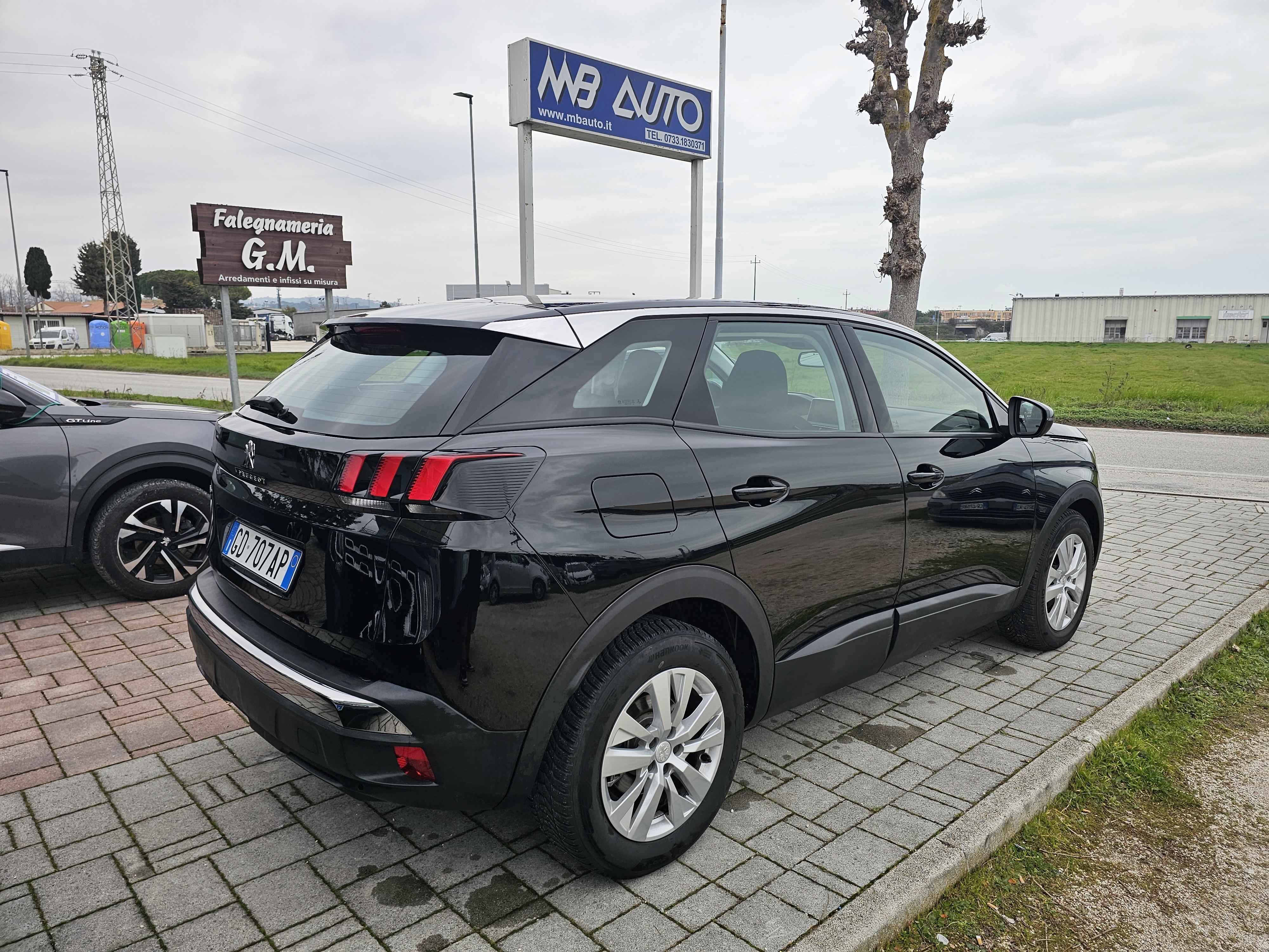 Peugeot <span>3008 BUSINESS 