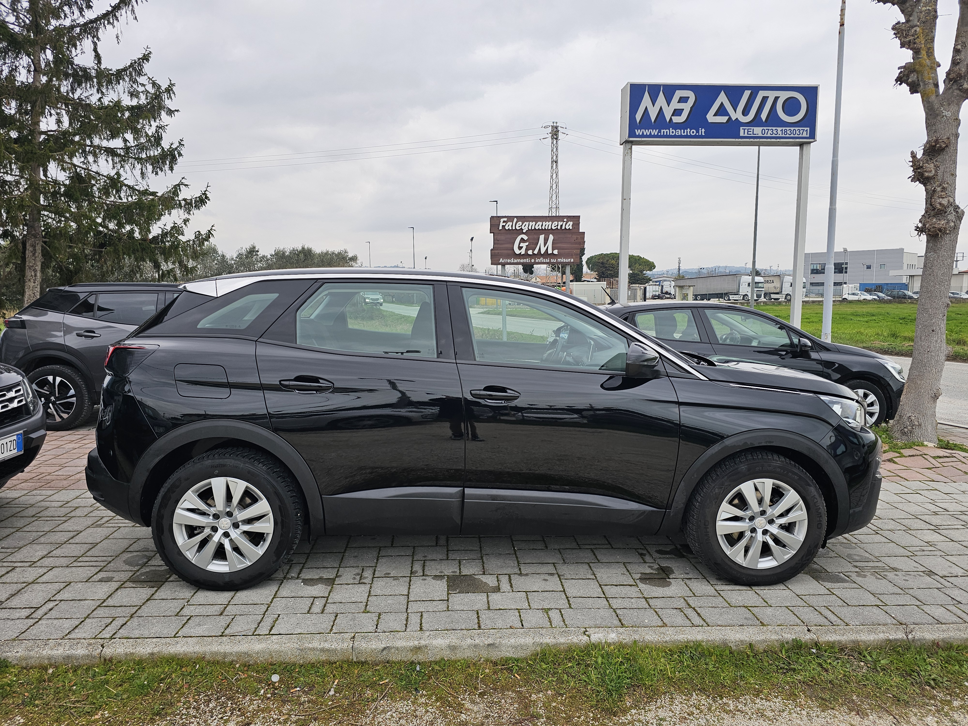 Peugeot <span>3008 BUSINESS 